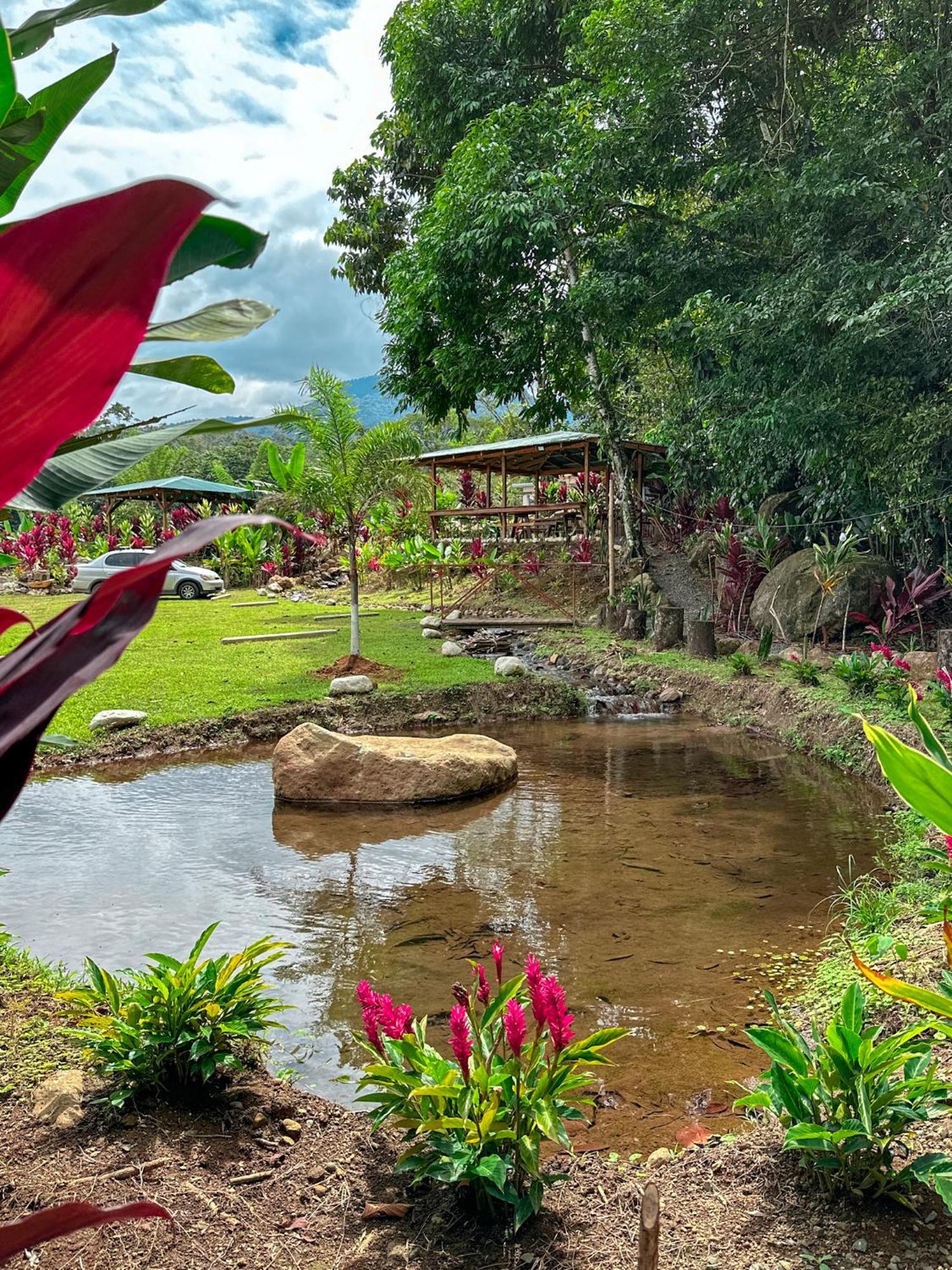 Cabanas Rio Escondido En La Fortuna Exteriör bild